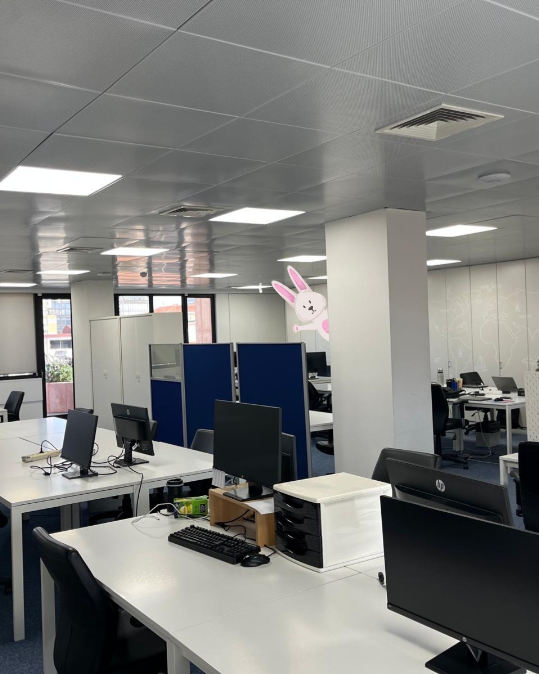 easter egg contact us modificado