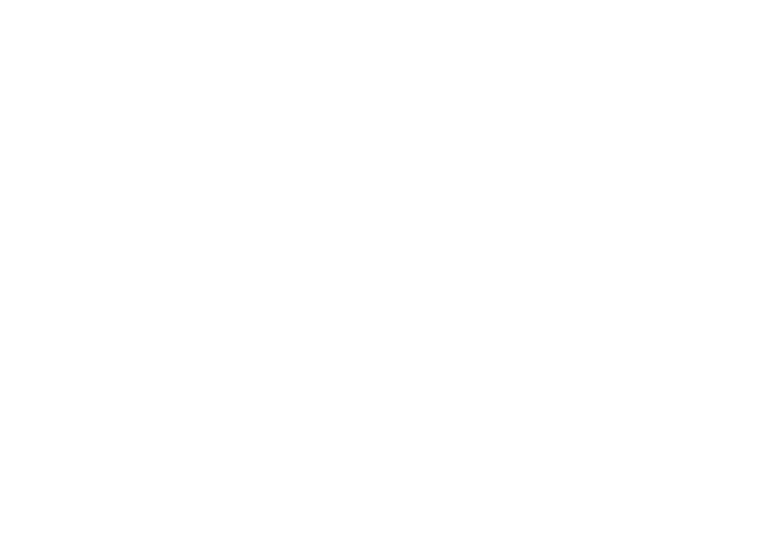 trust logo labit e white